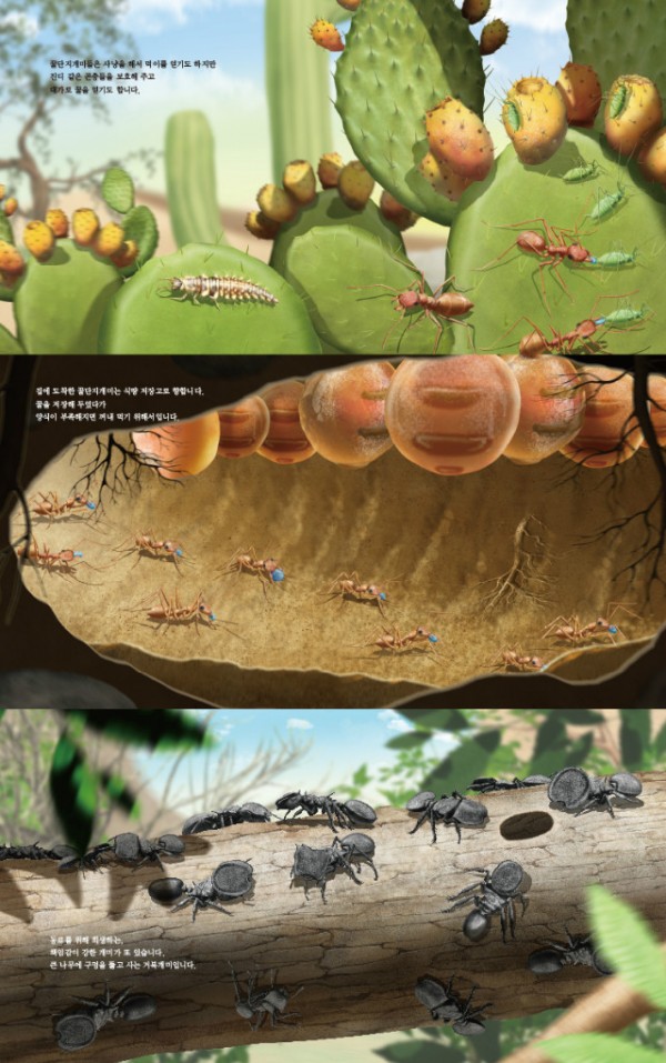 (10권)개미에게배우는책임감(미리보기).jpg